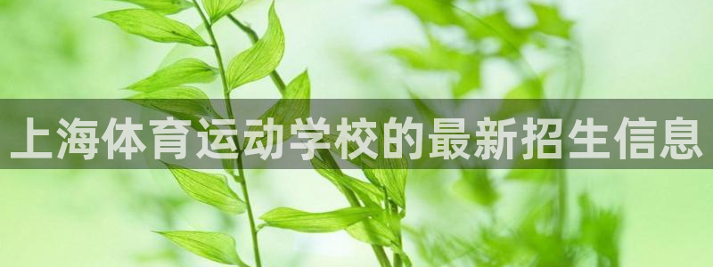 MK体育官网下载开户:上海体育运动学校的最新招生信息